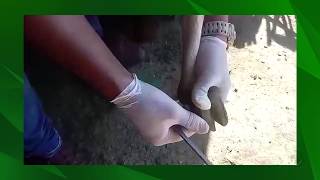 Miniatura do vídeo