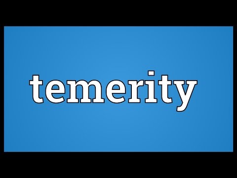 Temerity Meaning