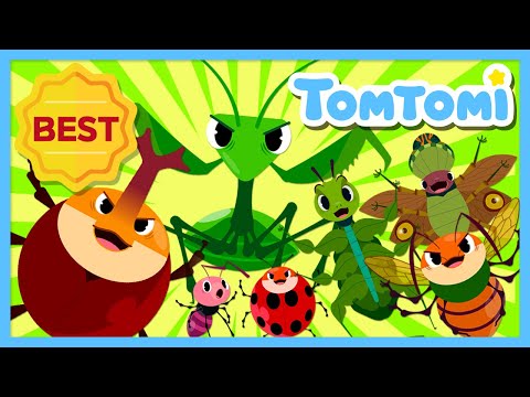 Small but Mighty Insects🦗🐜🕷 | Insect Songs Compilation | Songs about Bugs | Kids Song | TOMTOMI