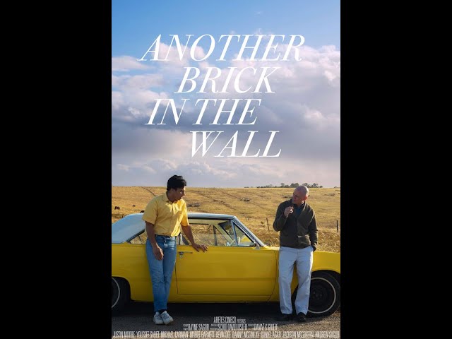 ANOTHER BRICK IN THE WALL film, Audience Feedback Jan. 2023 CRIME/MYSTERY Festival