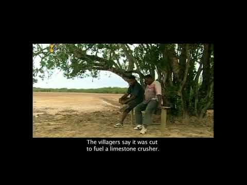 'Kurabui Productions' SSN 1 NG Ep 19 - Lomawai