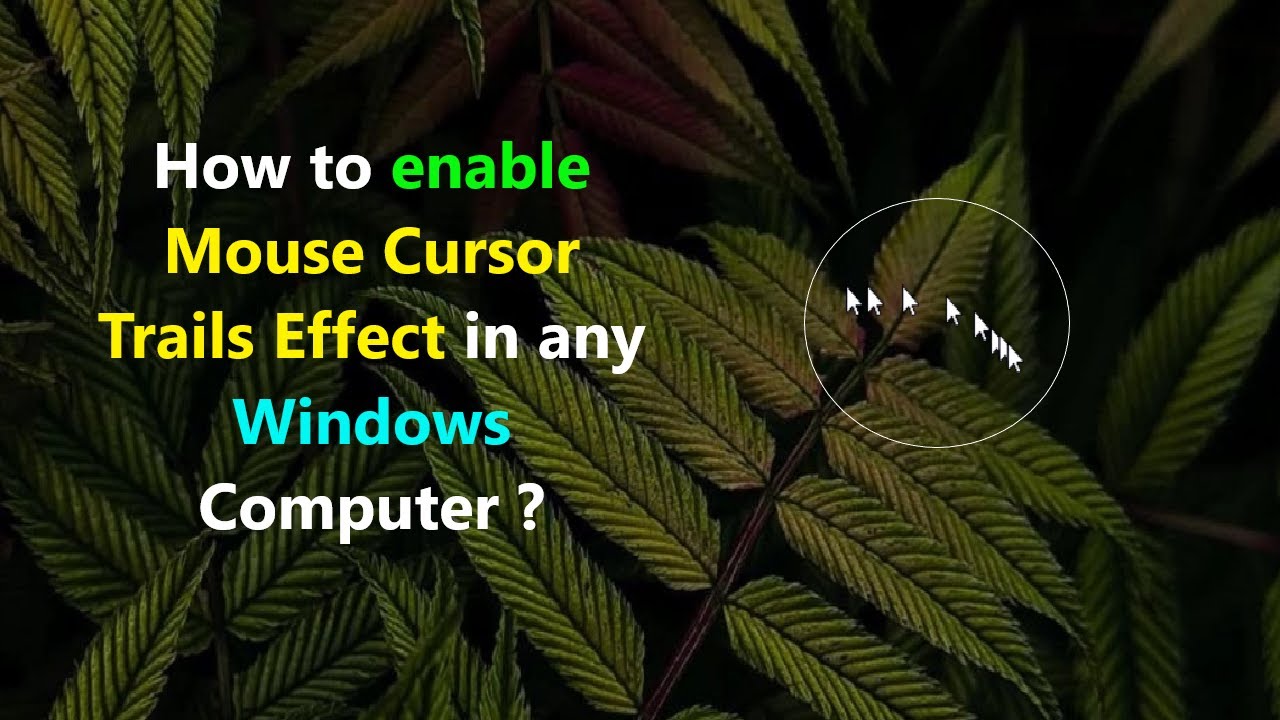 How to enable Mouse Cursor Trails Effect in any Windows Computer ?