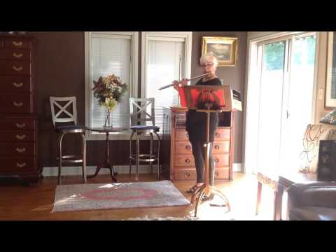 Platinum Brannen Flute No. 1002 | Joan Sparks | Flute Pro Shop