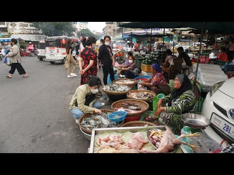Evening Street Food Market Scene @Olympic   Many Different Dinner Food Type Selling on Street Market