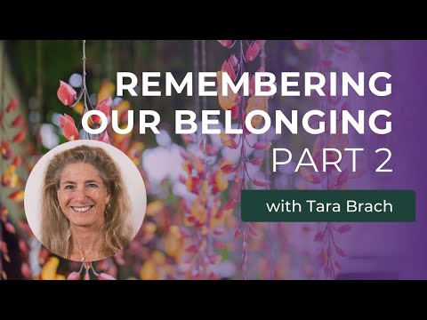 Overcoming Separation: Remembering Our Belonging with Tara Brach (Part 2)