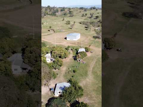 Fazenda Bom Pastor - Caracol MS