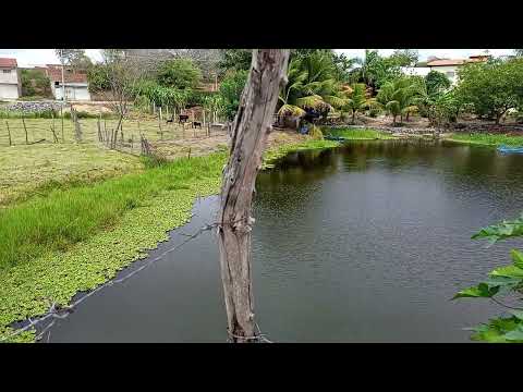 LAGOA DA PEDRA CRUZEIRO PRINCESA ISABEL PB 