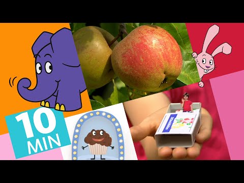Hallo Elefant - Wie wachsen Äpfel? & Wie wäre es klein zu sein? | Der Elefant | WDR