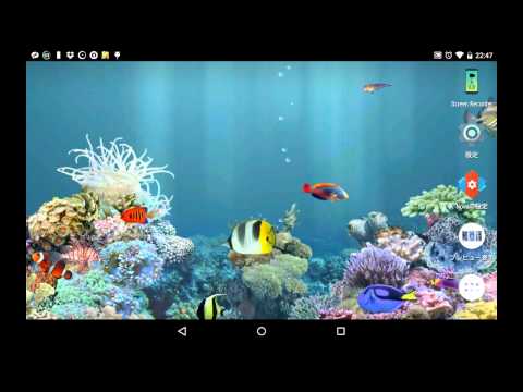 アンドロイドのライブ壁紙　「aniPet海洋水族館ライブ壁紙」Android Live Wallpaper \aniPet Marine Aquarium Live Wallpaper\