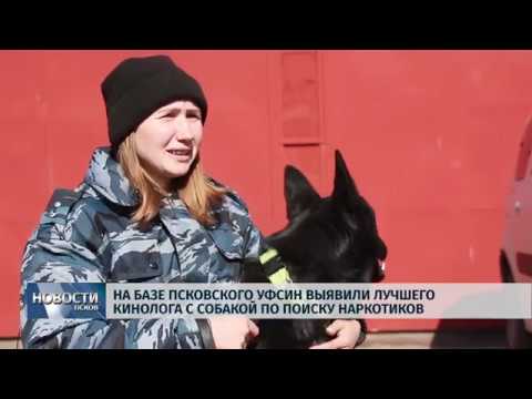 04.04.2019 / На базе псковского УФСИН выявили лучшего кинолога с собакой