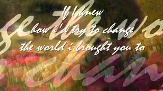 If I Could (Barbara Streisand w/lyrics)