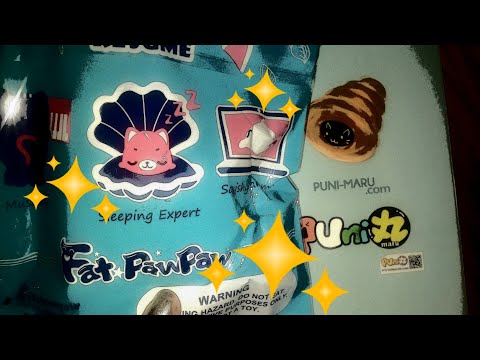 Puni Maru Cornet!? & More!!😍 popularboxes_hk package!! Video