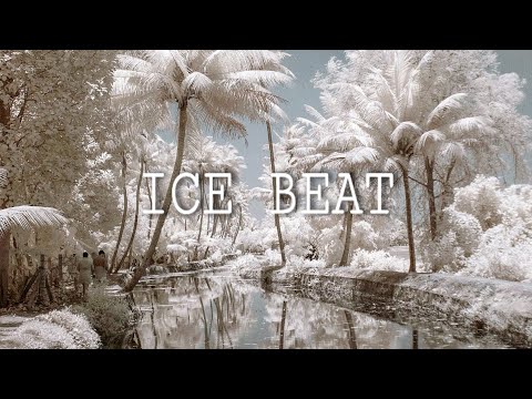 David Guetta x J Balvin x DJ Snake Type Beat - Ice Beat | Moombahton Type Beat