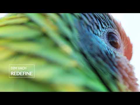 Dim Vach - Shades Of Melancholy