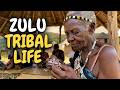 Zululand S Heartbeat Cinematic African Isigodi Voices Tribalmusic Tribalsong Zulutribe