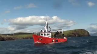 preview picture of video 'Ireland - Boat trip at Dingle (when we met Fungie)'