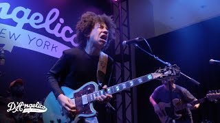 Video thumbnail for Brandon 'Taz' Niederauer Rips a Solo on His New Signature Model  | NAMM 2019 | D'Angelico Guitars by D'Angelico Guitars