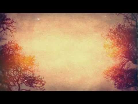 Alela Diane - Take Us Back (Lyrics HD)