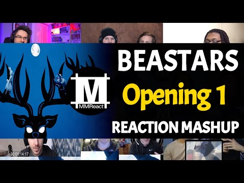 BEASTARS Opening 1 | Reaction Mashup