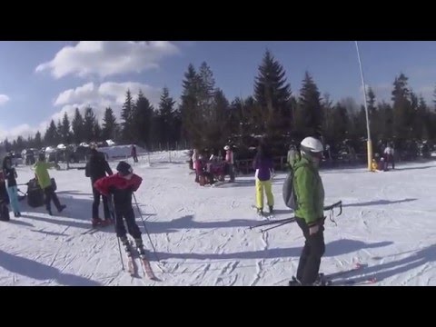 Partia Bradului Toplita