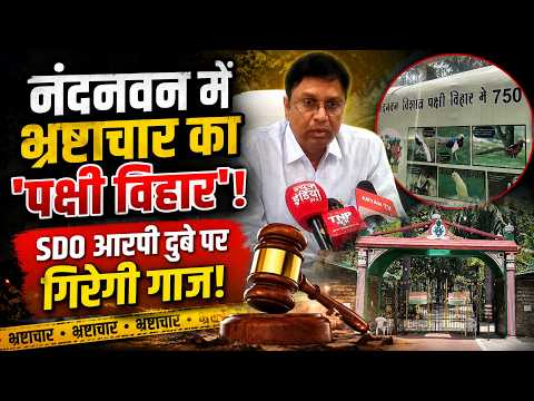 Nandanvan Bird Sanctuary Case: नंदनवन में भ्रष्टाचार का 'पक्षी विहार'! SDO आरपी दुबे पर गिरेगी गाज!