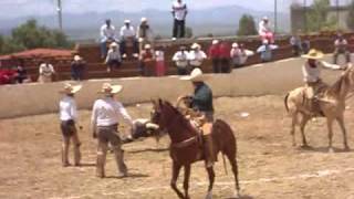 preview picture of video 'Final Torneo Bicentenario Carlos Serrano III'