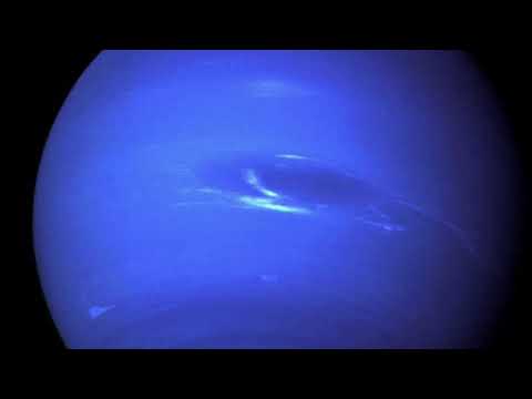 NEPTUNO - HOMIE x M DOALLO