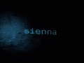 The Marías Sienna Visualizer