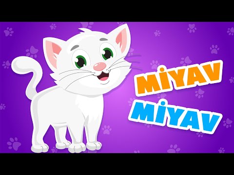 Kedicim Miyav Miyav Der - Kedicim Benden ne İster? | Bebekler için Eğlenceli Kedi Şarkısı