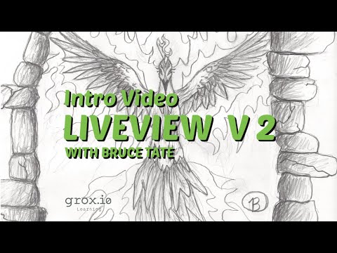 Programmer Passport: LiveView V2 - Rewrite