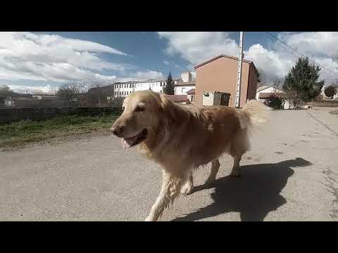 Laida in slow motion