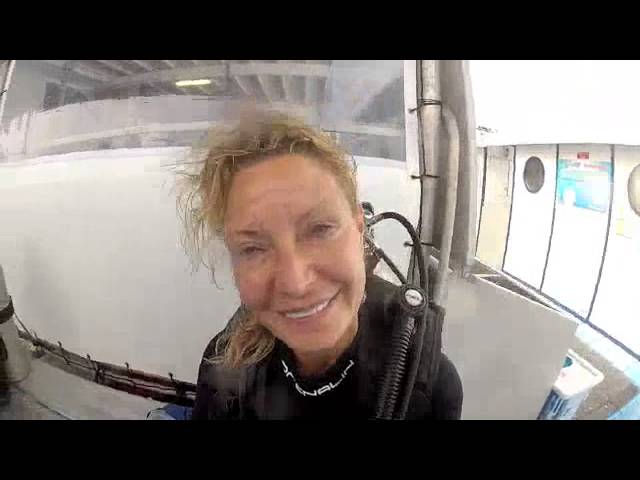 Hardy Reef diving adventure
