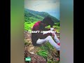 Alan Walker Lily Was A Little Girl Whatsapp Status Video ️