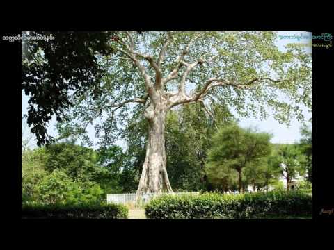 Khin Maung Gyi-"Tek Ka Tho Hmar Wai Tae Hnin"