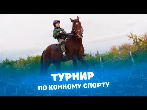 Турнир по конному спорту. Регион45. #киностудия #Курган #Урал #Москва #Питер #видосъёмка #видео