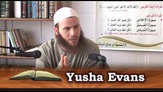 Video: Fallacies of the New Testament - Joshua Evans 2/8