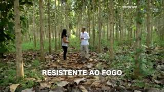 Miniatura do vídeo