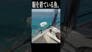 見知らぬ海での奇妙な体験記録.2 #ゲーム実況 #ホラゲー #shorts #horrorgame