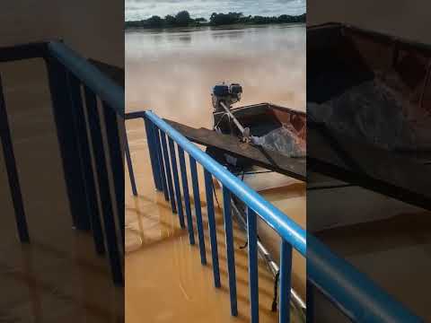 Enchente rio São Francisco MG - São Romão MG 03.03.26 #riosãofrancisco #pesca #pesca