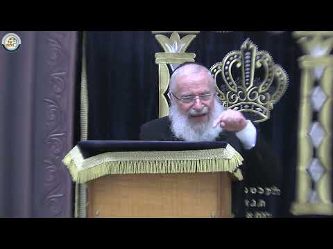 Where Should You Light the Ner Chanukah? | Shiur by Rav Asher Weiss Shlit"a (5785)