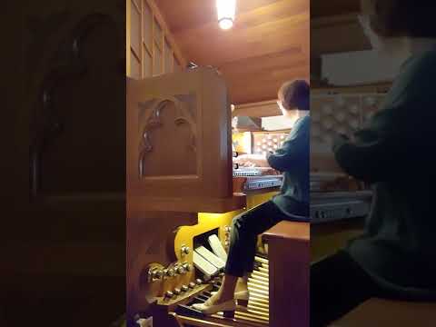 Make me a captive, Lord (Hymn 422) Piano Performance Video