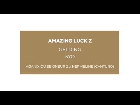 Amazing Luck Z