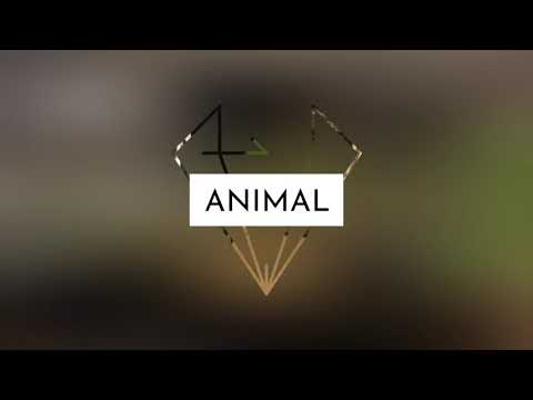 Animal Management students investigate global concerns