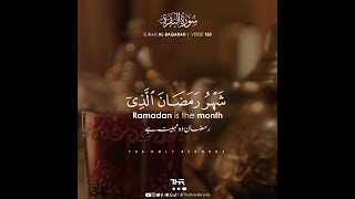 Ramadan Special Verses Recited by Abdul Rahman Mos