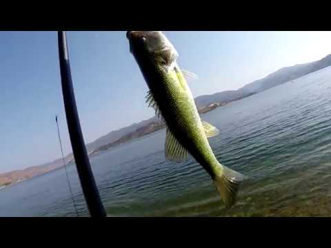 Castaic lake Smallmouth Bass ( S O - C A L ✰ F I S H I N G )