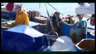 preview picture of video 'Un Mar de Memorias - Pesca tradicional en Arrecife Lanzarote   Parte 2'