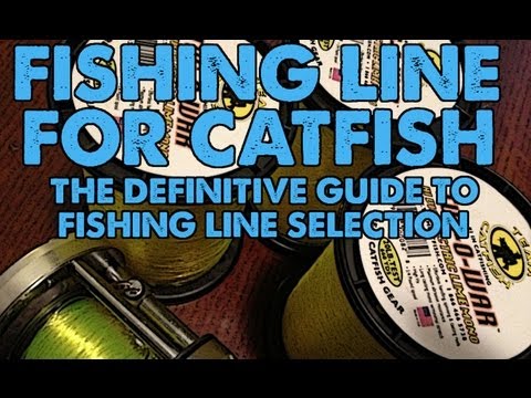 Catfish Fishing Line: Braid Vs' Mono, Size and Hi Vis Advantage