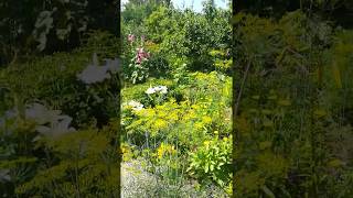 preview picture of video 'My Magical Garden. Codes of Light. New Earth..'