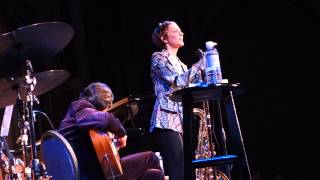 The Summer we crossed europe - Stacey Kent