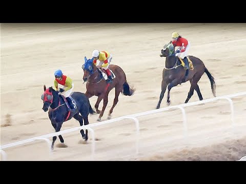 9/19-손석범- (금)메인64.1배+89.4배+45.2배+승부44.5배[대박쑈]가야할마필/또,좋아/다적중+중배당..!!